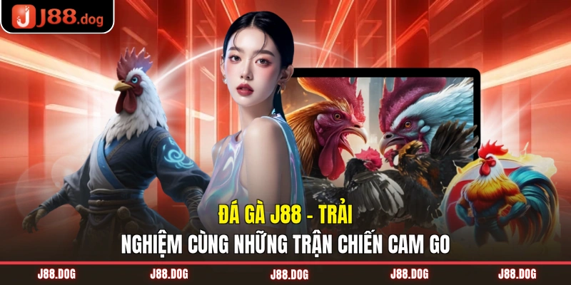 Đá Gà J88