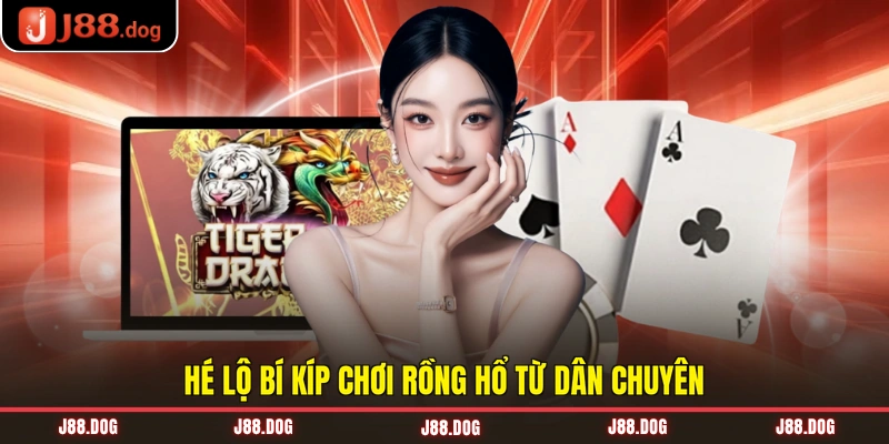 Điểm qua các cửa trong game rồng hổ online Hé lộ bí kíp chơi rồng hổ từ dân chuyên