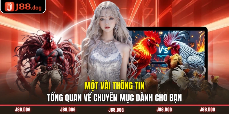 Một vài thông tin tổng quan về chuyên mục dành cho bạn