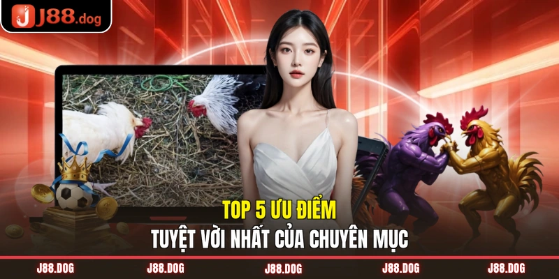 Top 5 ưu điểm tuyệt vời nhất của chuyên mục