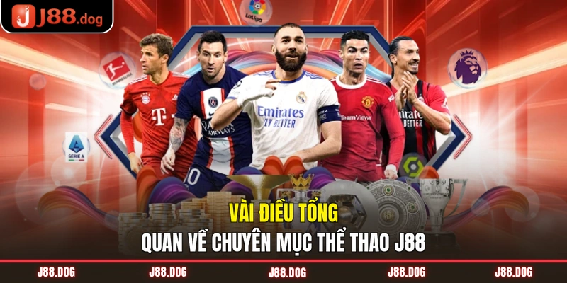 Vài điều tổng quan về chuyên mục thể thao J88